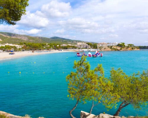 calvia
